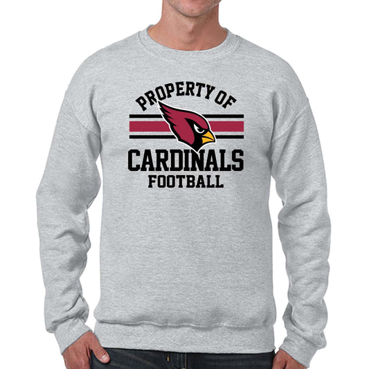 Arizona Cardinals NFL Adult Property Of Crewneck Fleece Sweatshirt - Sport Gray