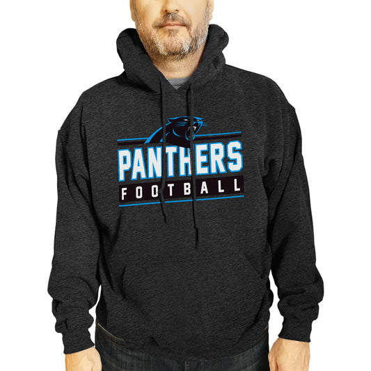 Carolina Panthers NFL Adult True Fan Hooded Charcoal Sweatshirt - Charcoal