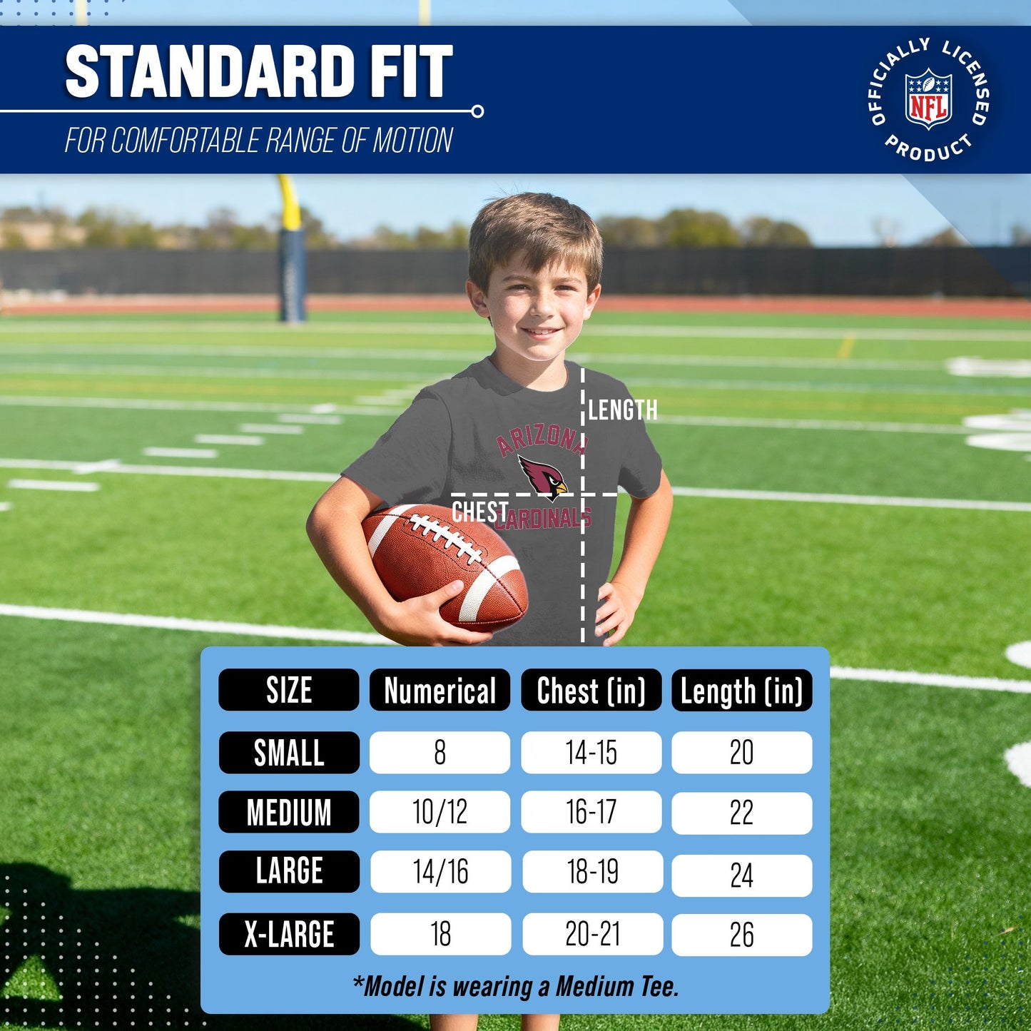 Arizona Cardinals NFL Youth Gameday Football T-Shirt - Charcoal