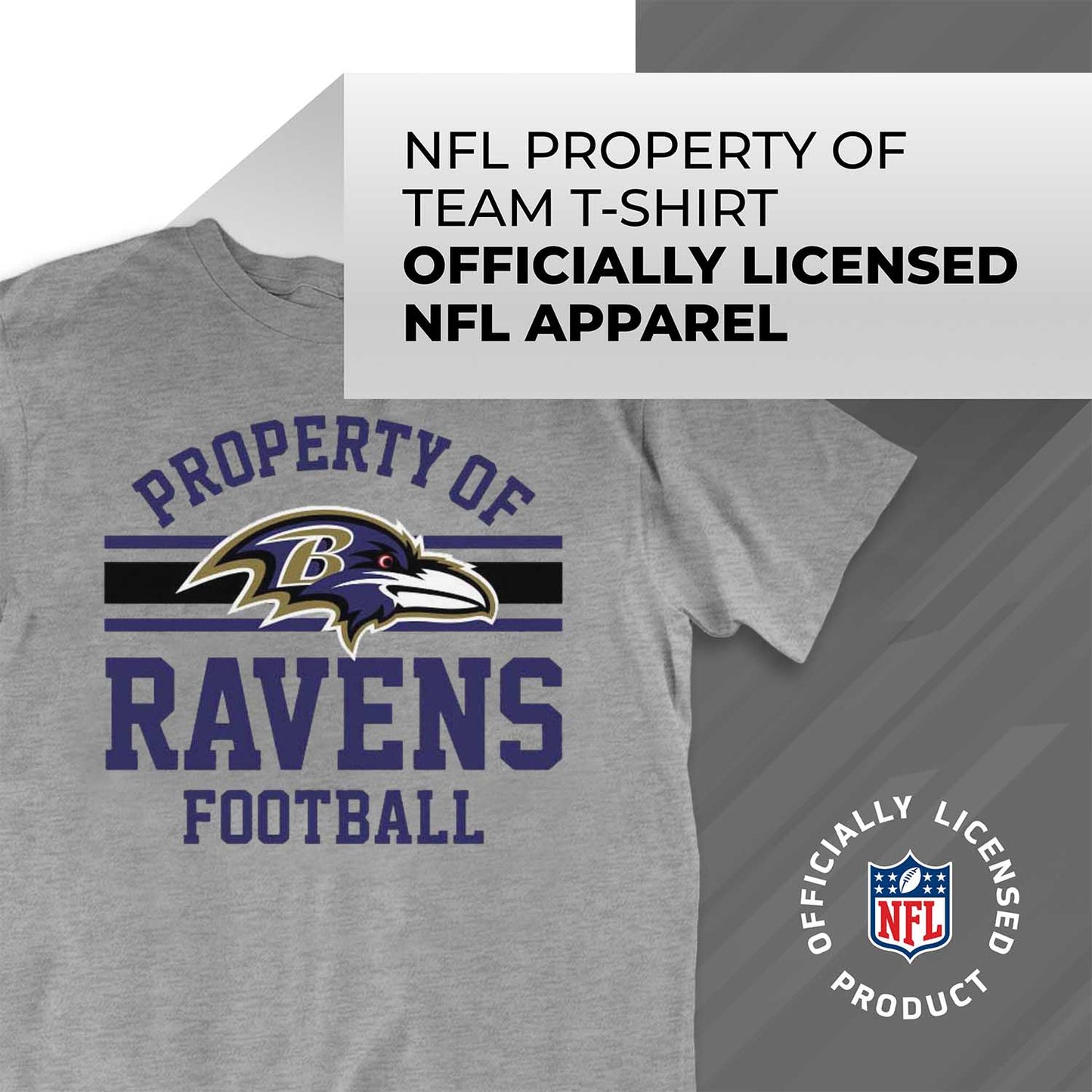 Baltimore Ravens NFL Adult Property Of T-Shirt - Sport Gray