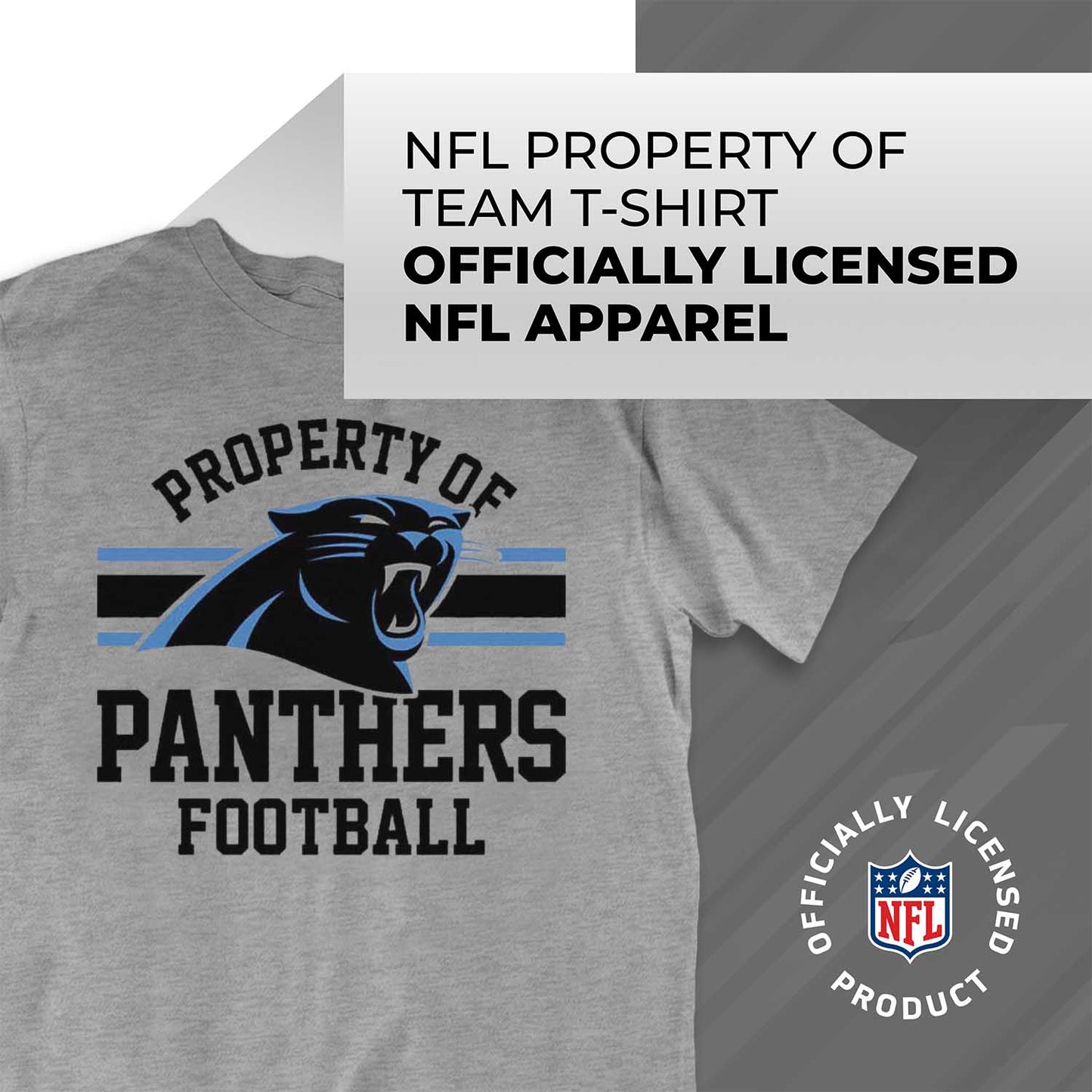Carolina Panthers NFL Adult Property Of T-Shirt - Sport Gray