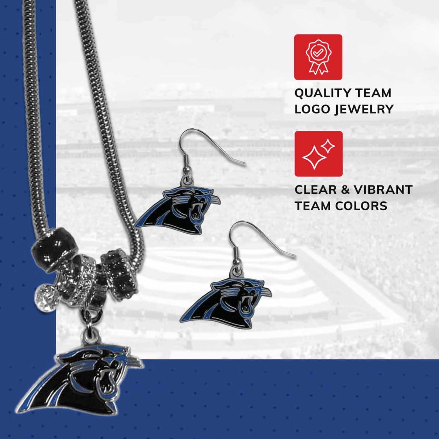 Carolina Panthers NFL Game Day Necklace and Earrings - Silver