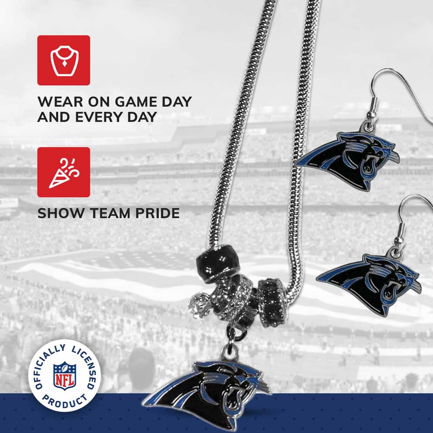 Carolina Panthers NFL Game Day Necklace and Earrings - Silver