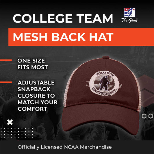 Brown Bears NCAA Snapback - Brown