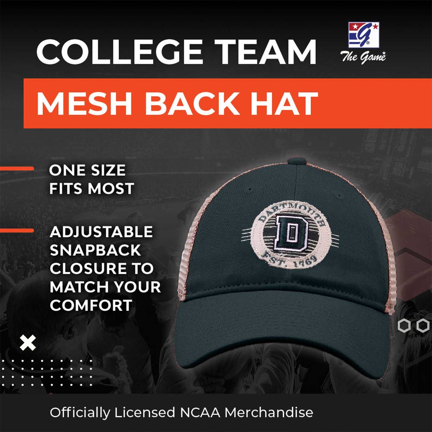 Dartmouth Big Green NCAA Snapback - Green