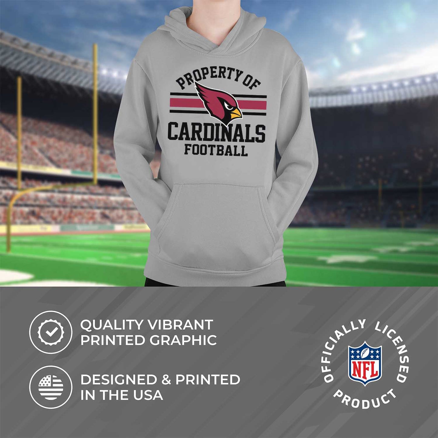 Arizona Cardinals NFL Youth Property Of Hooded Sweatshirt - Sport Gray