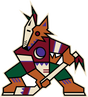 Arizona Coyotes