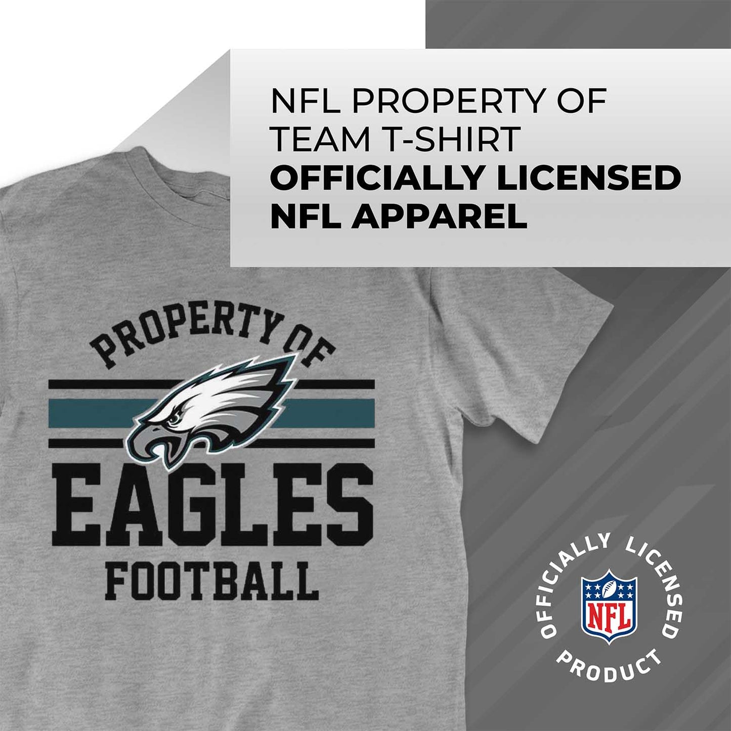 Philadelphia Eagles NFL Adult Property Of T-Shirt - Sport Gray