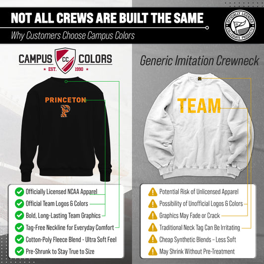 Princeton Tigers Adult Arch & Logo Soft Style Gameday Crewneck Sweatshirt - Black