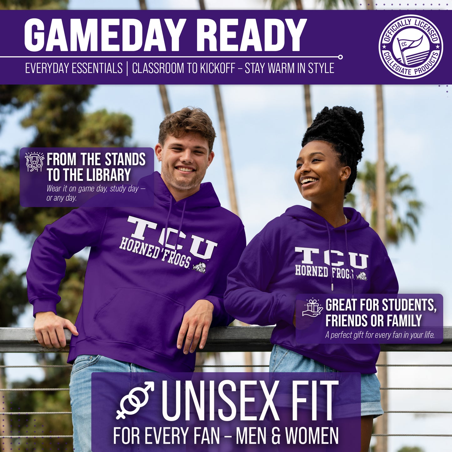 TCU Horned Frogs Adult Arch & Logo Soft Style Gameday Hooded Sweatshirt - Purple