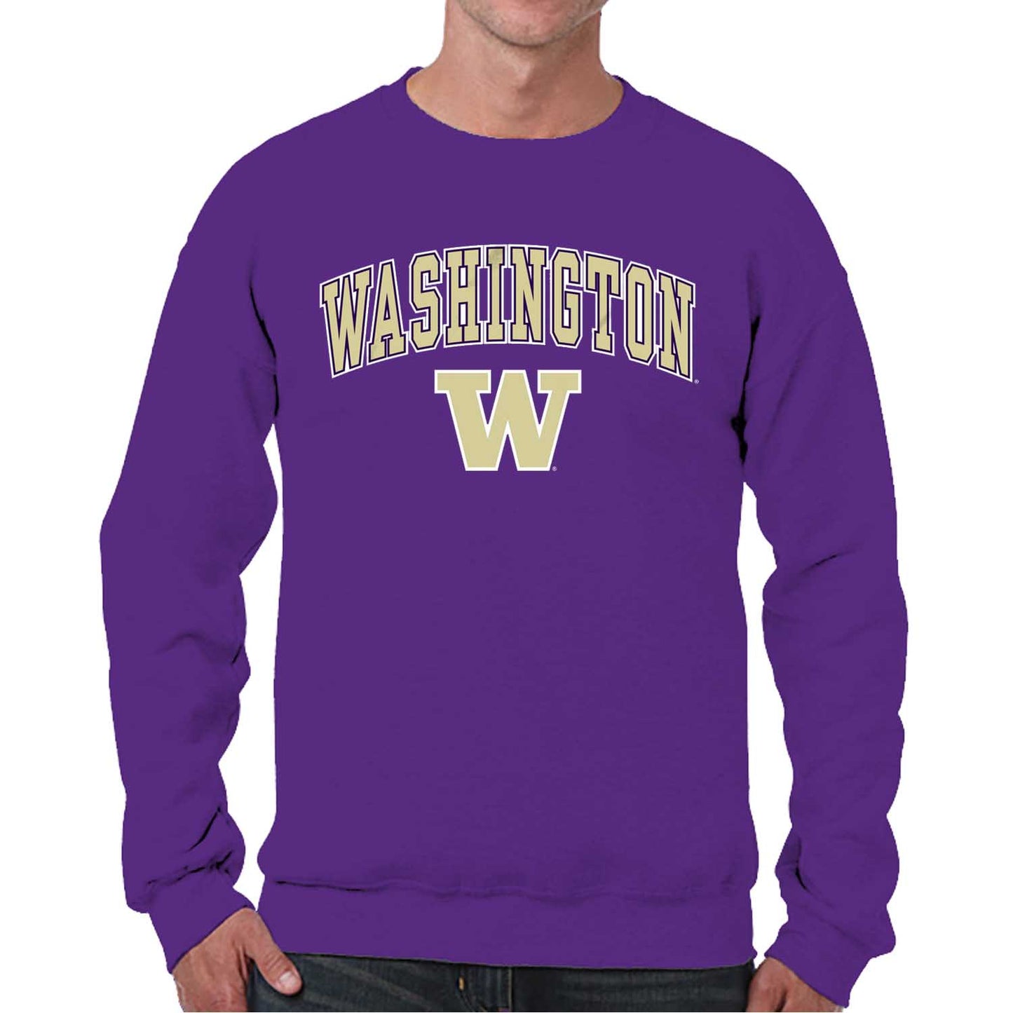 Washington Huskies Adult Arch & Logo Soft Style Gameday Crewneck Sweatshirt - Purple