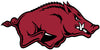 Arkansas Razorbacks