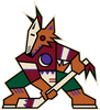 Arizona Coyotes