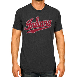 Indiana Hoosiers Campus Colors NCAA Adult Cotton Blend Charcoal Tagless T-Shirt - Charcoal