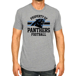 Carolina Panthers NFL Adult Property Of T-Shirt - Sport Gray