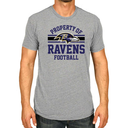 Baltimore Ravens NFL Adult Property Of T-Shirt - Sport Gray