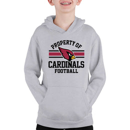 Arizona Cardinals NFL Youth Property Of Hooded Sweatshirt - Sport Gray