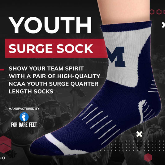 Michigan Wolverines NCAA Youth Surge Team Mascot Quarter Socks - Navy