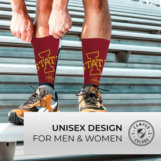 Iowa State Cyclones NCAA Youth University Socks - Black