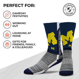 Michigan Wolverines NCAA Youth University Socks - Navy