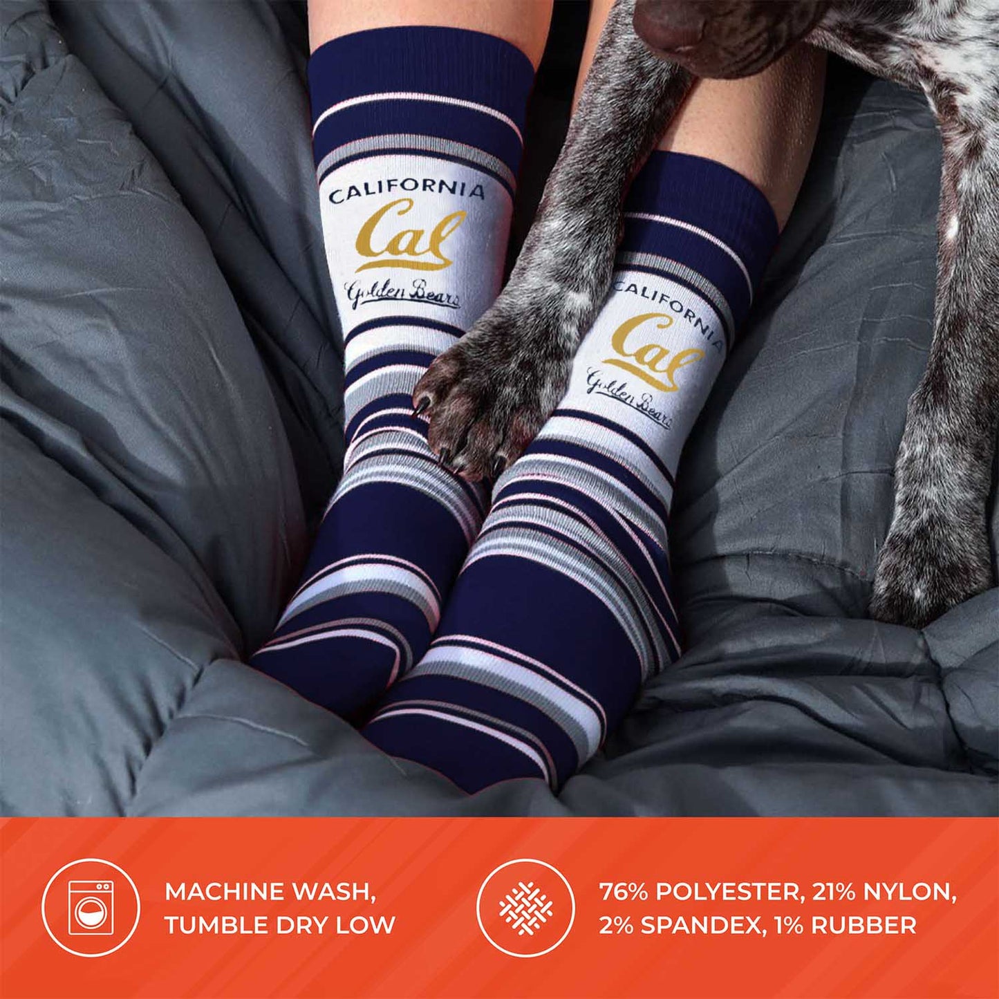 Cal Golden Bears Collegiate University Striped Dress Socks - Navy