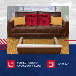 Chicago Bulls NBA Decorative Basketball Throw Pillow - Red