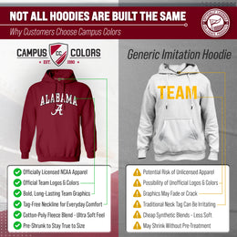 Alabama Crimson Tide Adult Arch & Logo Soft Style Gameday Hooded Sweatshirt - Crimson