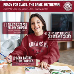 Arkansas Razorbacks Adult Arch & Logo Soft Style Gameday Crewneck Sweatshirt - Cardinal