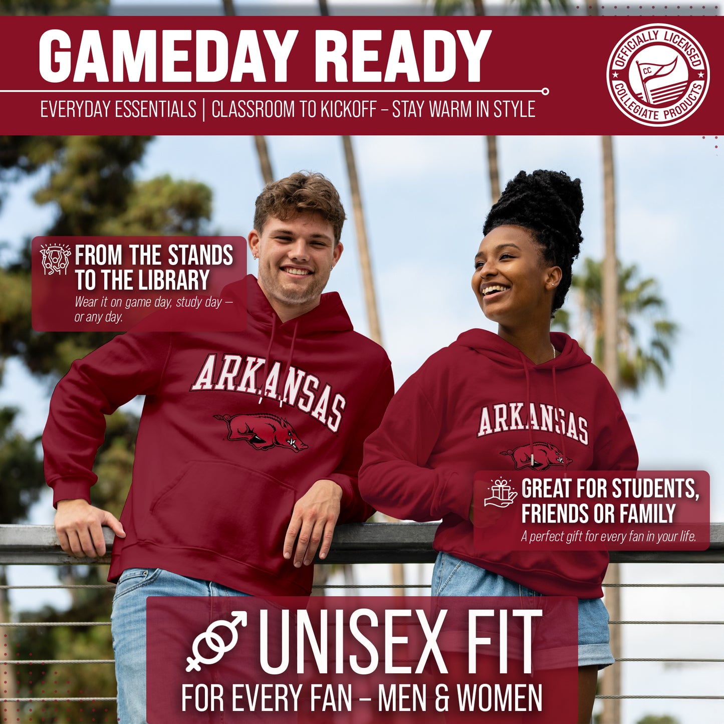 Arkansas Razorbacks Adult Arch & Logo Soft Style Gameday Hooded Sweatshirt - Cardinal