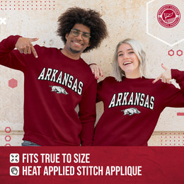 Arkansas Razorbacks NCAA Adult Tackle Twill Crewneck Sweatshirt - Cardinal