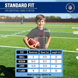 Arizona Cardinals NFL Youth Gameday Football T-Shirt - Charcoal