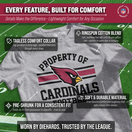 Arizona Cardinals NFL Adult Property Of T-Shirt - Sport Gray