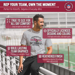 Arizona Cardinals NFL Adult Property Of T-Shirt - Sport Gray