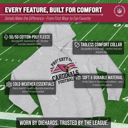 Arizona Cardinals NFL Adult Property Of Hooded Sweatshirt - Sport Gray
