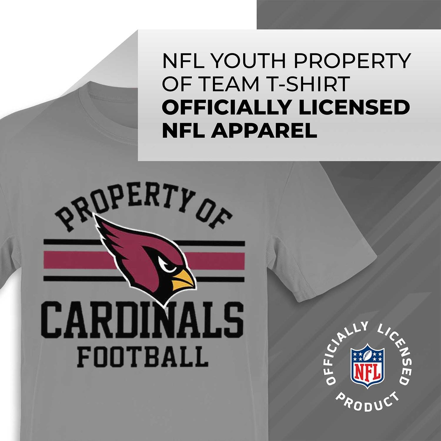 Arizona Cardinals NFL Youth Property Of Short Sleeve Lightweight T Shirt - Sport Gray