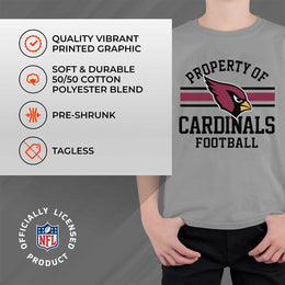 Arizona Cardinals NFL Youth Property Of Short Sleeve Lightweight T Shirt - Sport Gray