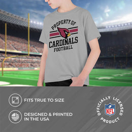 Arizona Cardinals NFL Youth Property Of Short Sleeve Lightweight T Shirt - Sport Gray