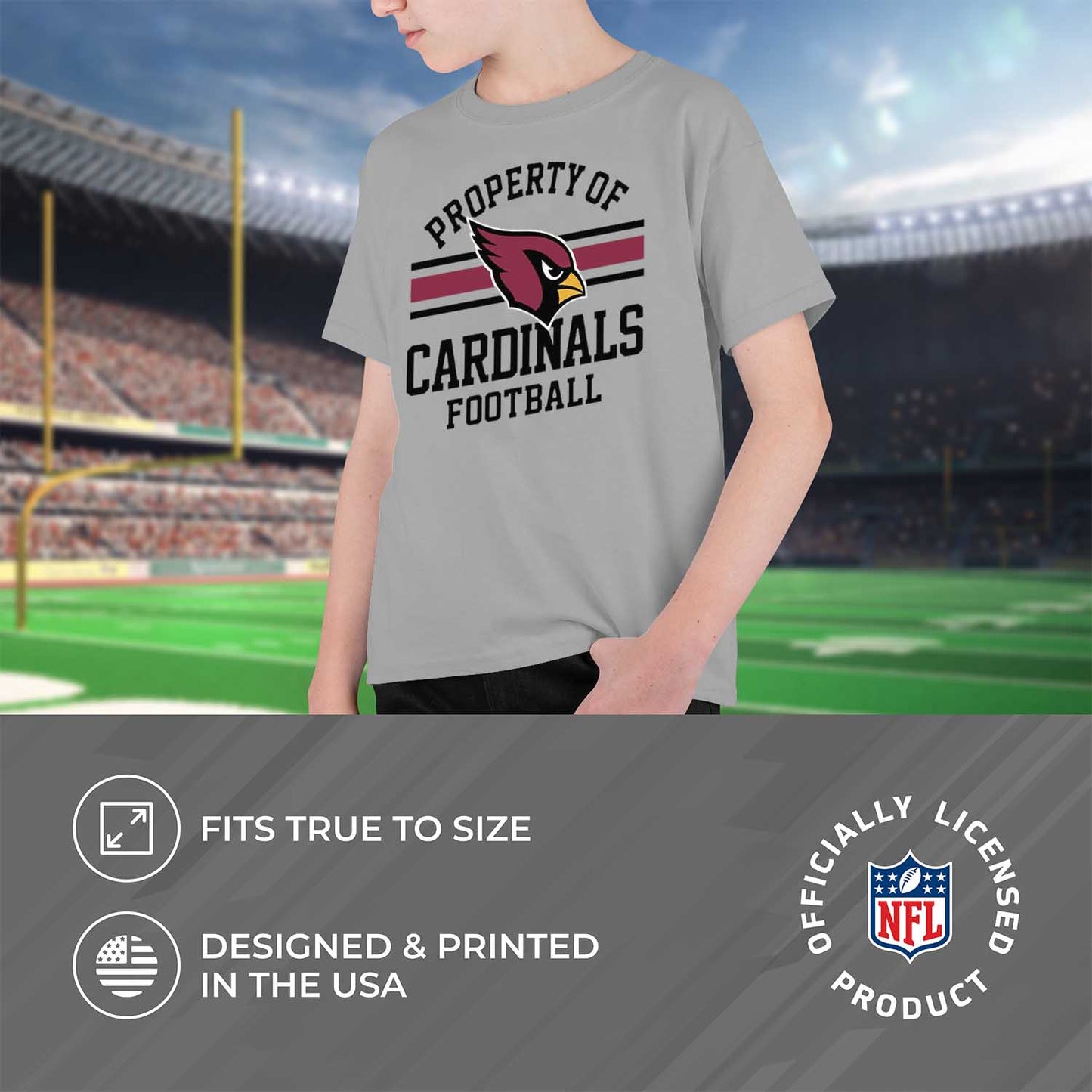 Arizona Cardinals NFL Youth Property Of Short Sleeve Lightweight T Shirt - Sport Gray