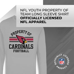 Arizona Cardinals NFL Youth Property Of Long Sleeve Lightweight T Shirt - Sport Gray