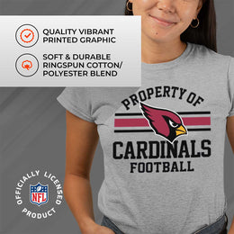 Arizona Cardinals NFL Women's Property Of Lightweight Plus Size T-Shirt - Sport Gray