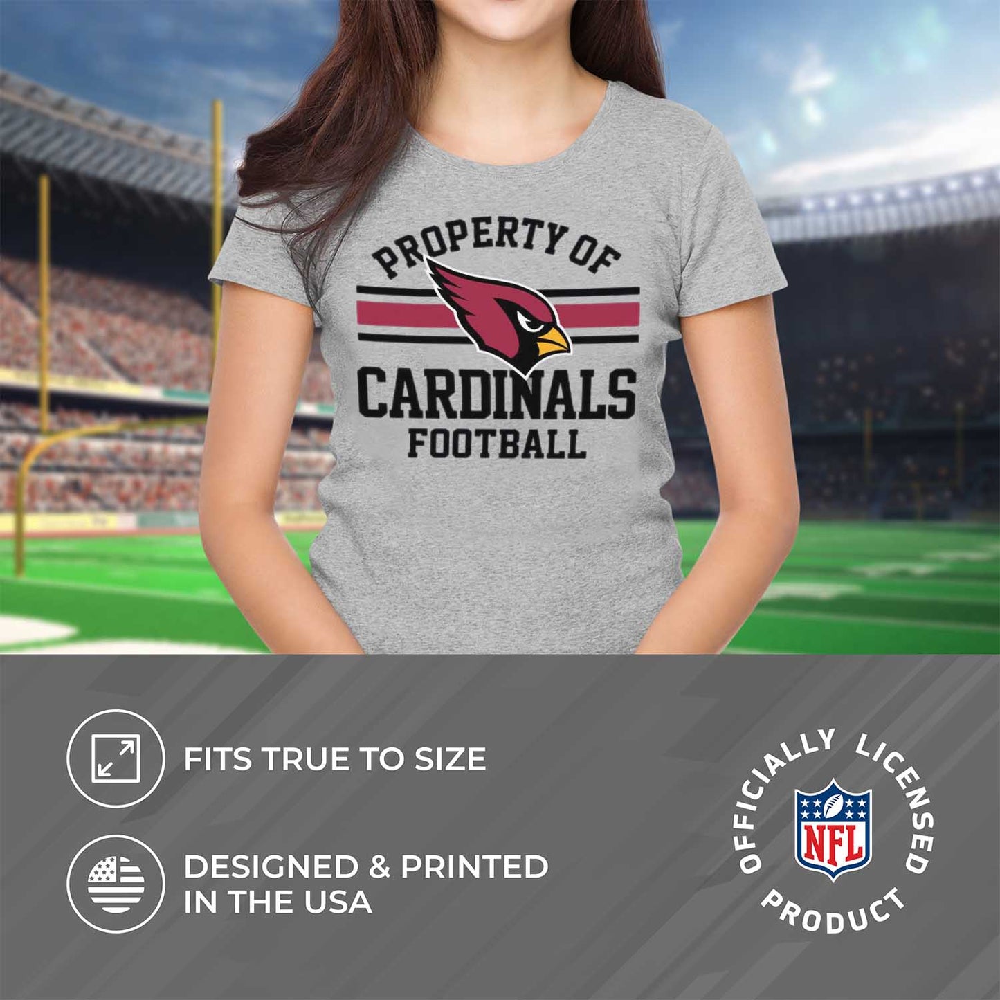 Arizona Cardinals NFL Women's Property Of Lightweight Plus Size T-Shirt - Sport Gray
