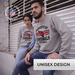 Arizona Cardinals NFL Adult Property Of Crewneck Fleece Sweatshirt - Sport Gray