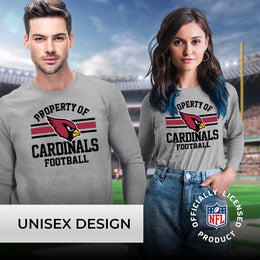 Arizona Cardinals NFL Adult Property Of Long SleeveT Shirt - Sport Gray