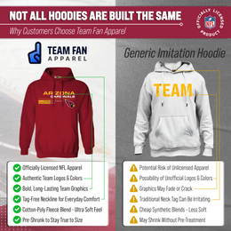 Arizona Cardinals Adult NFL Speed Stat Sheet Fleece Hooded Sweatshirt - Cardinal