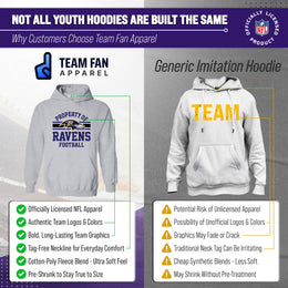 Baltimore Ravens NFL Youth Property Of Hooded Sweatshirt - Sport Gray