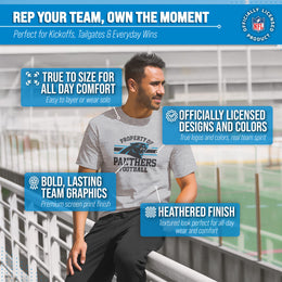 Carolina Panthers NFL Adult Property Of T-Shirt - Sport Gray