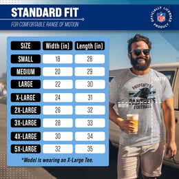 Carolina Panthers NFL Adult Property Of T-Shirt - Sport Gray