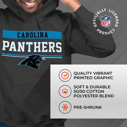Carolina Panthers NFL Adult Gameday Charcoal Hooded Sweatshirt - Charcoal