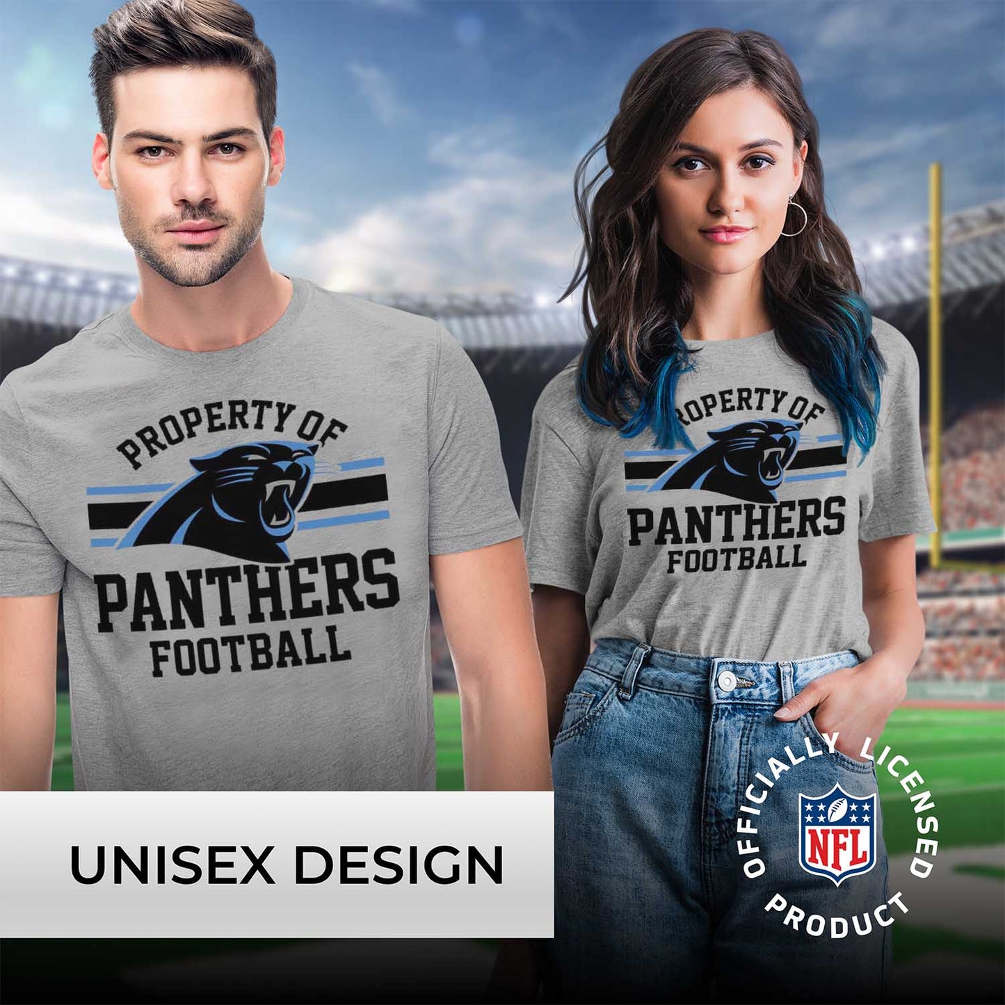 Carolina Panthers NFL Adult Property Of T-Shirt - Sport Gray
