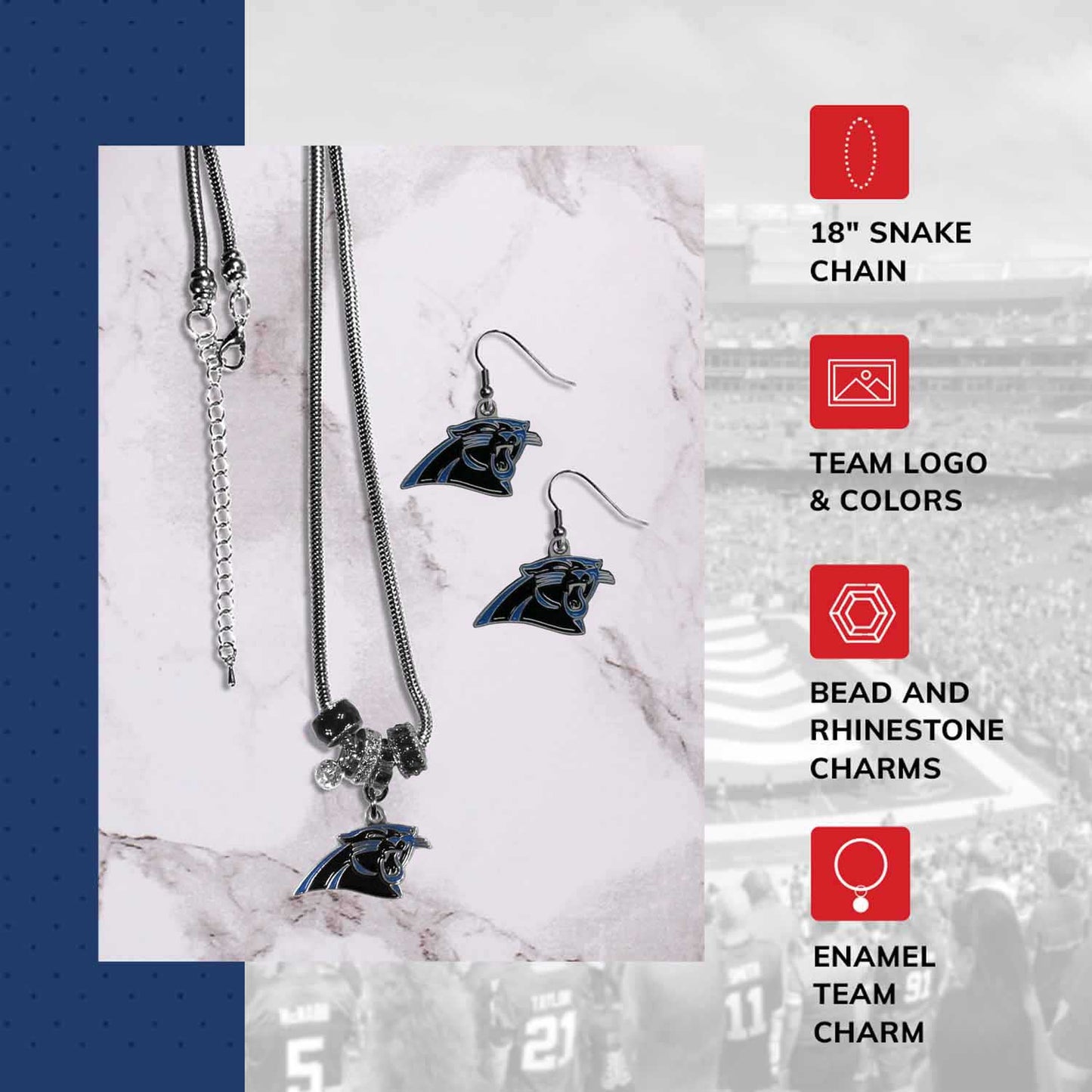 Carolina Panthers NFL Game Day Necklace and Earrings - Silver